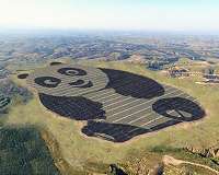 China to lead world's renewable energy consumption by 2023: IEA