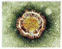 China confirms 5,974 virus cases, exceeding SARS; 25 new deaths