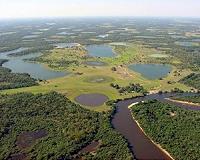 Brazil's Pantanal: paradise needing protection