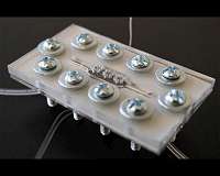 Scientists create most powerful micro-scale bio-solar cell yet