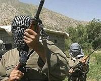 Iraq Kurds press fightback as top jihadist reported killed
