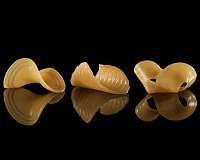 MIT researchers engineer shape-shifting food