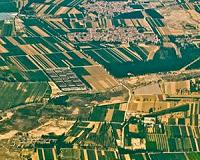 Ancient wisdom boosts sustainability of biotech cotton