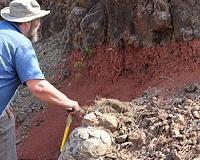 Asteroid impact, volcanism were one-two punch for dinosaurs