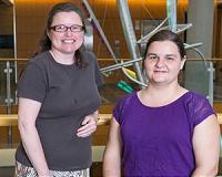 Boron Facilitates Stem Cell Growth and Development in Corn