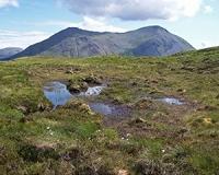 Scottish oil and gas prohibition questioned