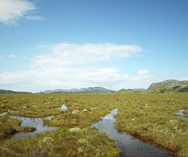 Satellite-based method measures carbon in peat bogs