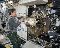 ISS crew harvest new crop of vegetables grown in space