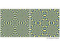 Illusory motion reproduced by deep neural networks trained for prediction