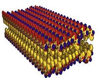 Peptoid Nanosheets at the Oil/Water Interface