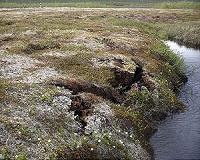 Permafrost soil possible source of abrupt rise in greenhouse gases