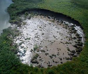Drilling for hydrocarbons can impact aquatic life