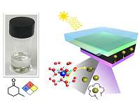 Perovskite solar cells made of peppermint oil and walnut aroma food additives, preventing lead leakage