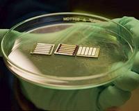 Next-gen perovskite solar cells made stable by metal oxide sandwich