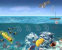 Five teams will help DARPA detect undersea activity by analyzing behaviors of marine organisms