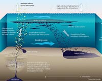 Huge Oil Slicks Generated From Seeps At Coal Oil Point