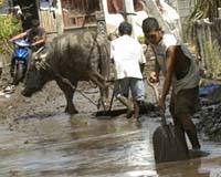 Tropical storm kills five in Philippines