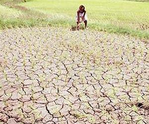 Study maps global 'hotspots' of climate-induced food insecurity