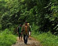 Philippine rebels free kidnapped forest workers