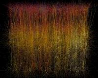 Researchers build a digital piece of brain