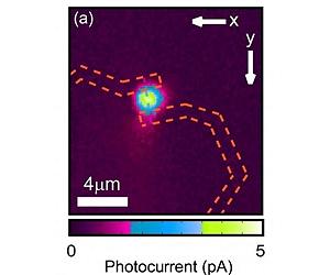 Single Quantum Dot Nanowire Photodetectors