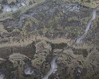 Scientists find microbial remains in ancient rocks