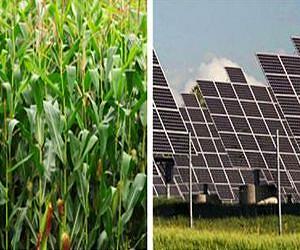 Plant power: The ultimate way to 'go green'?