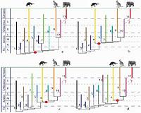 Mesozoic mammals -- what do we know from China?