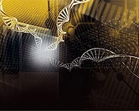 Genetic Based Human Diseases Are An Ancient Evolutionary Legacy