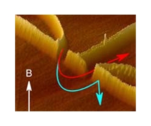 A 50-year quest to isolate the thermoelectric effect is now over: Magnon drag unveiled