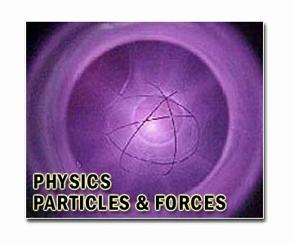 Real time view reveals melting dynamics in two dimensional skyrmion lattices