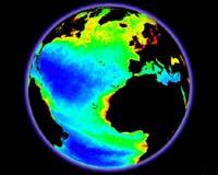 NASA spots phytoplankton bloom in North Atlantic