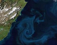 Iron fertilization won't work in much of Pacific, says study