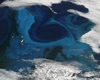 Antarctica Glacier Retreat Creates New Carbon Dioxide Store