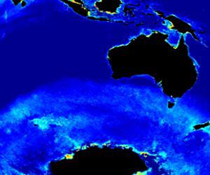 Algorithm finds missing phytoplankton in Southern Ocean