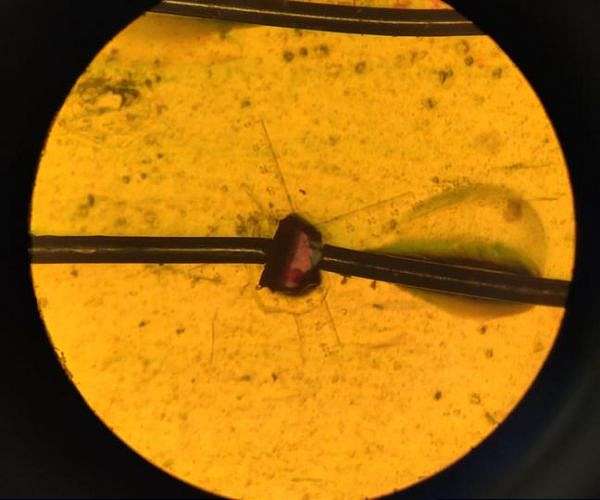 Highly Efficient Lead Free Material Converts Motion into Electricity