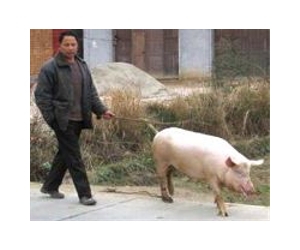 China village defies officials to demand democracy