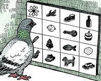 Pigeons are better than people at multitasking