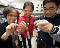 NREL finds bacterium that uses both CO2 and cellulose to make biofuels
