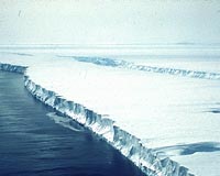 Antarctic seawater temperatures rising