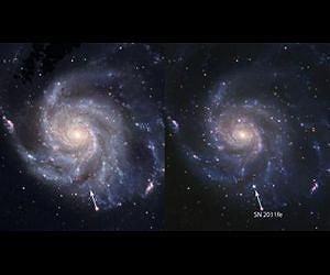Star Destroyed in Supernova Was White Dwarf