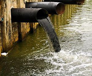 China coastal waters increasingly polluted: govt