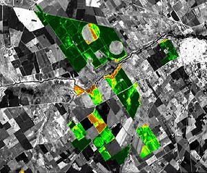 Human transformation of land threatens future sustainability?