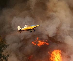 Forest fire kills 40 as it rips through northern Israel