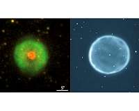 Discovery of a structurally 'inside-out' planetary nebula