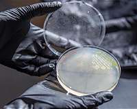Engineered microbe may be key to producing plastic from plants
