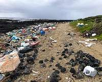 Cleaning up Tokyo's beaches: An Olympic task