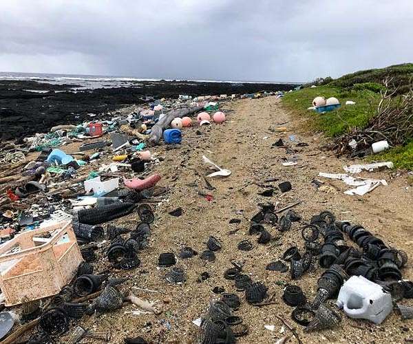 Israel green groups slam scrapping of tax on disposable tableware