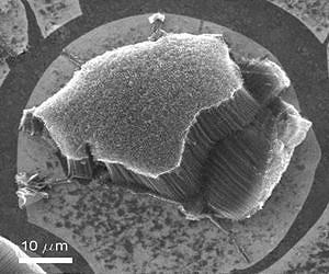 A graphene nanotube hybrid