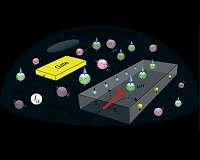 Creating a 2-D platinum magnet